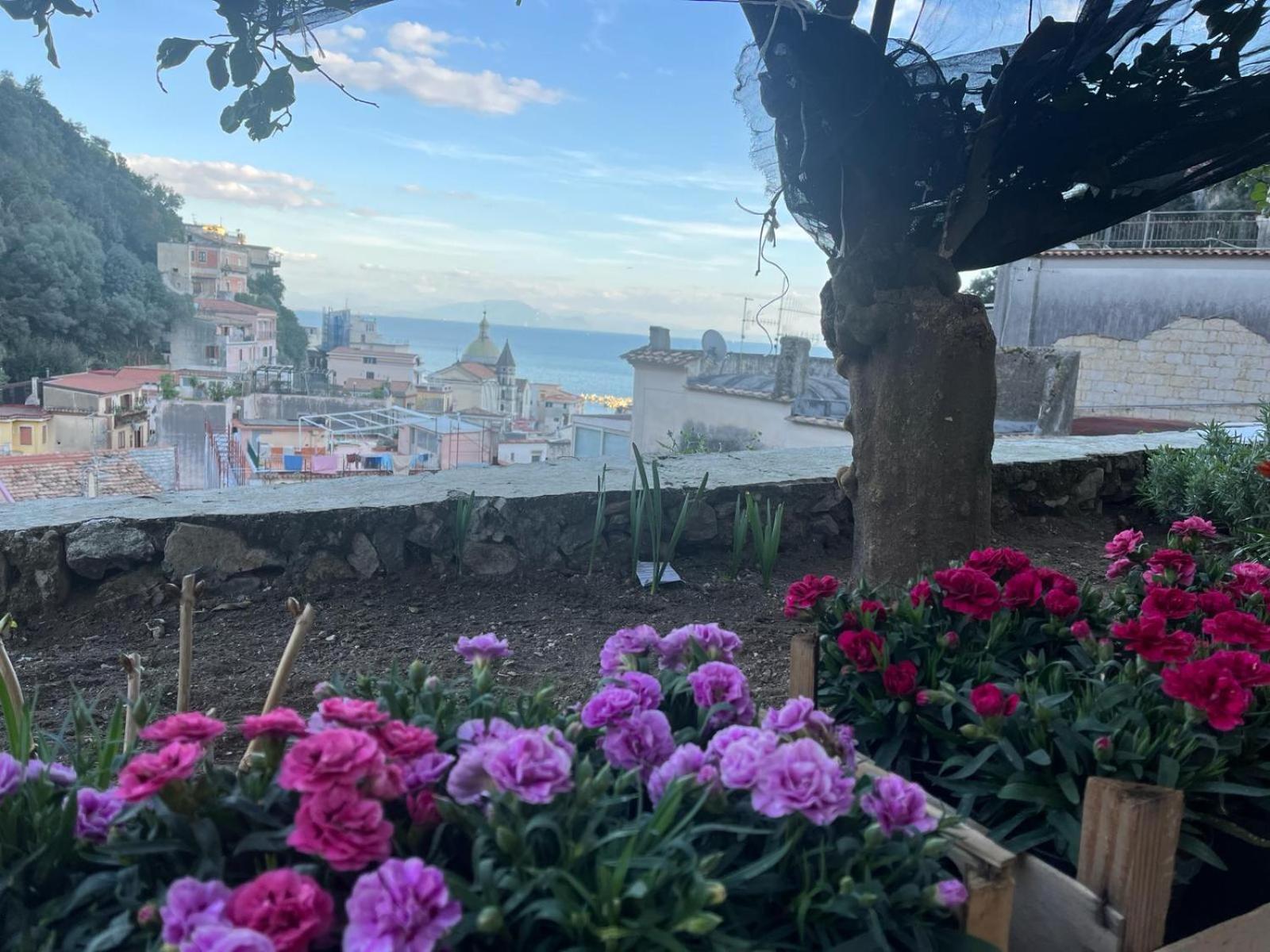 Apartmán Casa Nel Borgo Dei Gatti Cetara Exteriér fotografie