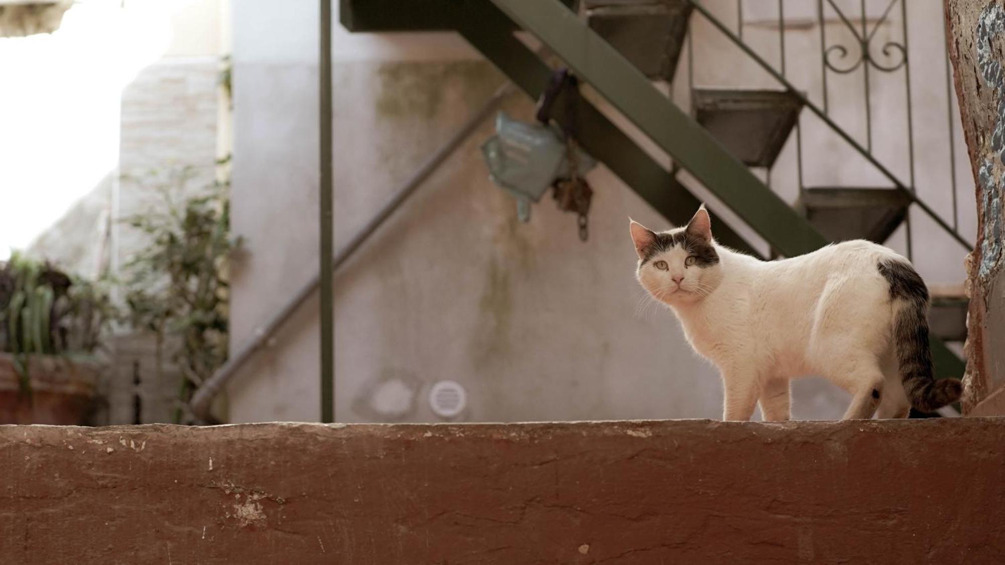 Apartmán Casa Nel Borgo Dei Gatti Cetara Exteriér fotografie